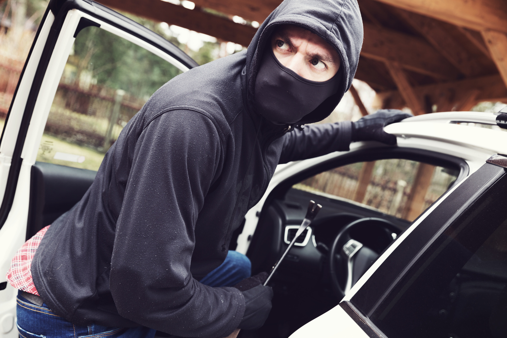 fight back against car theft